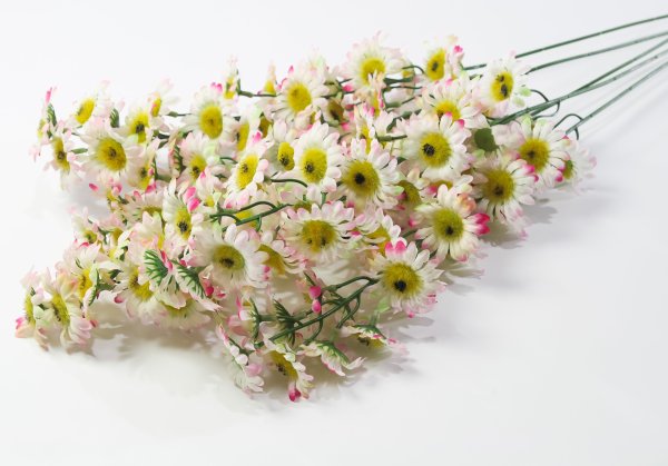 Ветка ромашек "Суприм"