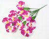 Букет орхидеи 10 веток 10 цветков