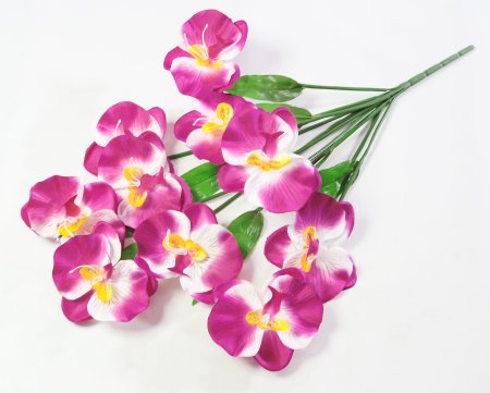 Букет орхидеи 10 веток 10 цветков
