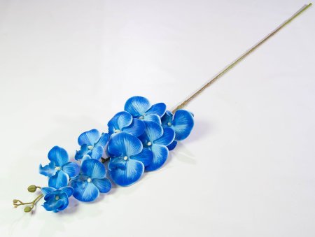 Ветка орхидеи 24