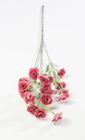 Ветка мелкой розы с напылением