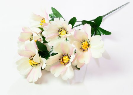 dd540dbcad1bee39e857b66d2956f8d0