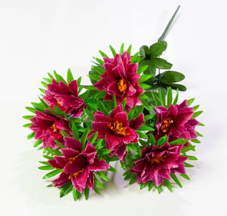 Лилия 7 цветков