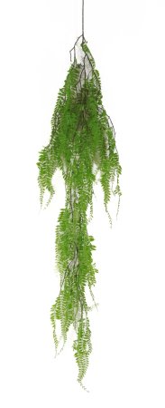 картинка Ампельная зелень "Элизабет" 175 см от магазина KALINA