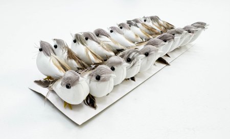 Птичка серая