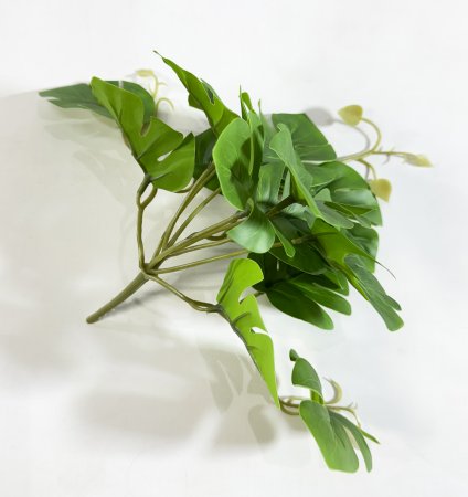 картинка Монстера 16 листов от магазина KALINA