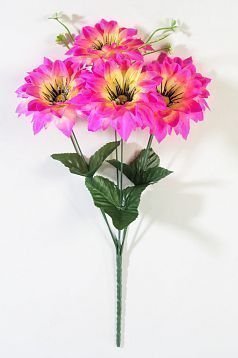 Букет георгина "Апачи" 6 цветков от магазина KALINA являющийся официальным дистрибьютором в России 