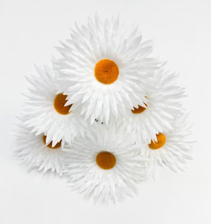 Ромашка "Белоцветик" 6 цветков