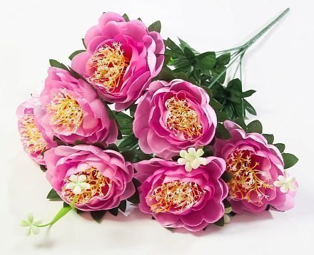 Пион "Миледи" 7 цветков от магазина KALINA являющийся официальным дистрибьютором в России 