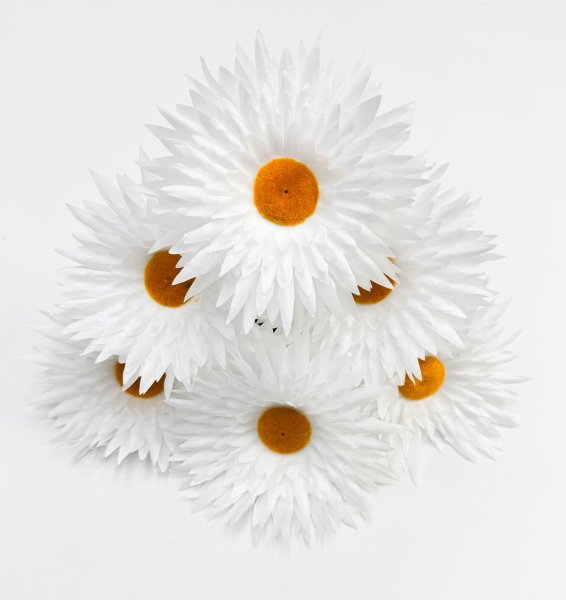 Ромашка "Белоцветик" 6 цветков