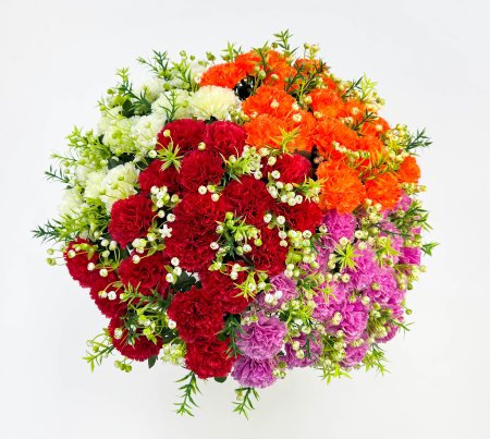 Гвоздика "Рекорд"  18 цветков