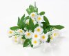 Ромашки "Анациклюс" пластиковый 5 веток