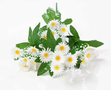 Ромашки "Анациклюс" пластиковый 5 веток