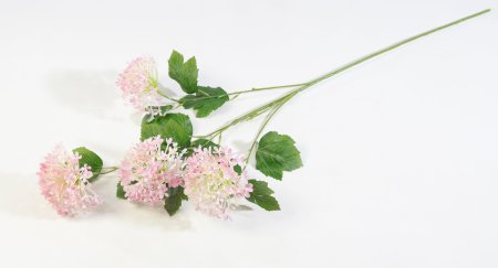 Калина Бульденеж пластик светло-розовая