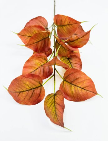 Тополь осенний