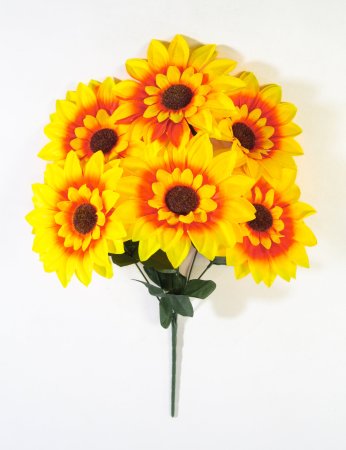 Подсолнух "Землячка" 6 цветков