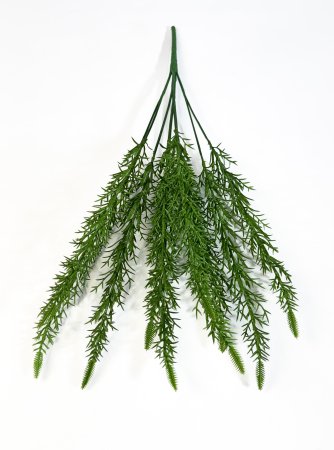 картинка Вереск зеленый от магазина KALINA