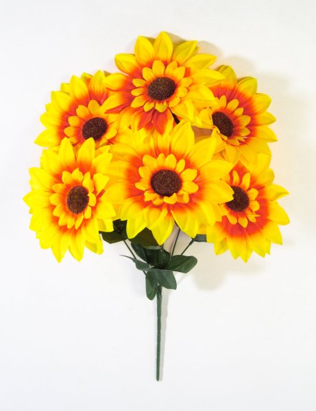 Подсолнух "Землячка" 6 цветков