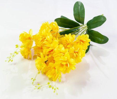 Орхидея "Загадка" 5 веток