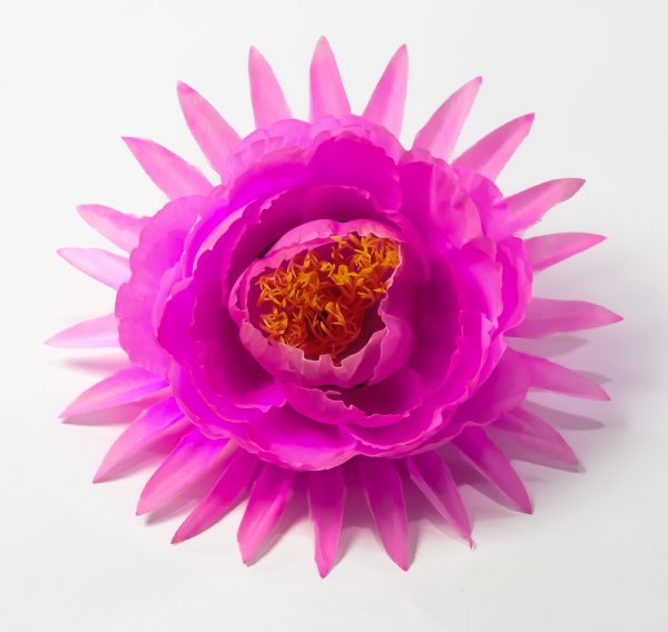 Насадка пиона "Парижанка"