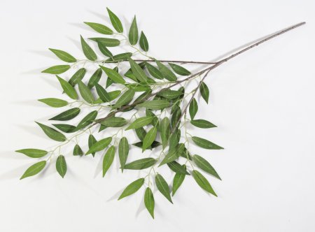 картинка Ветка декоративной оливы от магазина KALINA