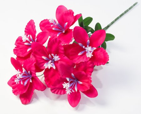 Букет лилий Александрит 6 цветков