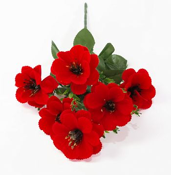Бархатный анемон 6 цветков от магазина KALINA являющийся официальным дистрибьютором в России 
