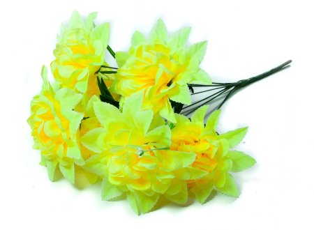 Букет астры "Звезда" 7 веток 7 цветков