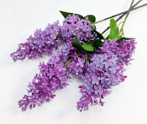 Сирень "Пышный цвет" сиреневый