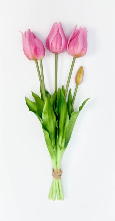 Тюльпан "Триумф" светло-розовый