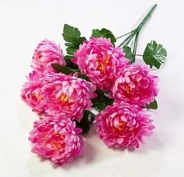 Астра "Королевская" 7 цветков от магазина KALINA являющийся официальным дистрибьютором в России 