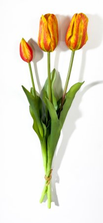 Тюльпан "Пепл Принц" оранжевый (2+1)