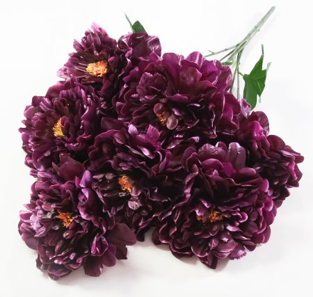 Букет пиона Летний вечер 7 цветков