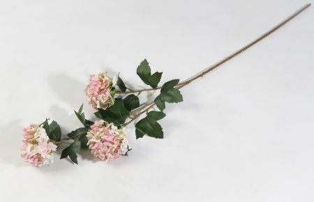 Калина Бульденеж розовая