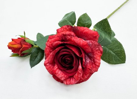 Роза "Булевард" красная