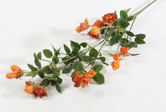 Кустовая роза оранжевая от магазина KALINA являющийся официальным дистрибьютором в России 