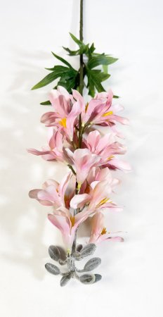 Дельфиниум с крупными соцветиями пюсовый