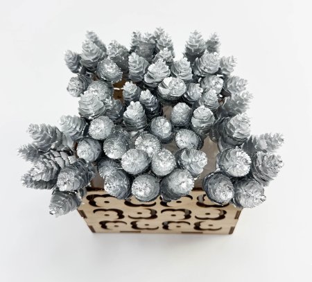 Шишка серебро