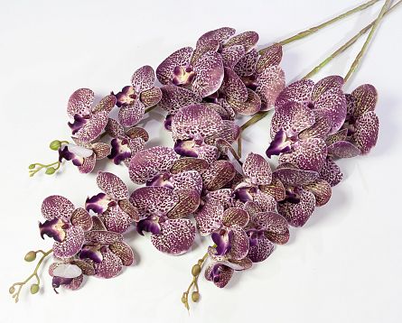 Ветка орхидеи 49 от магазина KALINA являющийся официальным дистрибьютором в России 