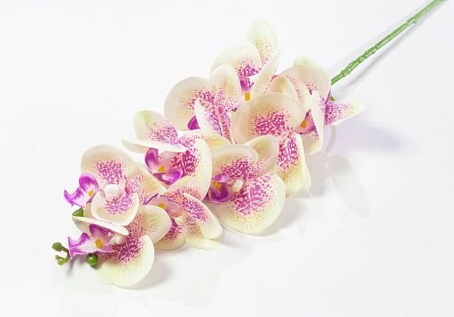 Ветка орхидеи 4 от магазина KALINA являющийся официальным дистрибьютором в России 