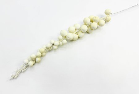 Ветка "Молочный бисквит"