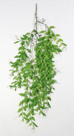 картинка Ветка горошка от магазина KALINA