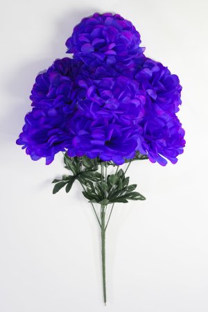 Букет шафрана "Великан" 7 цветков