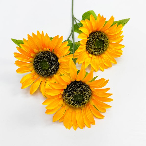 Подсолнух "Солнце в руках" 3 цветка 