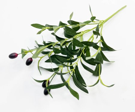 Олива букет 6 веток