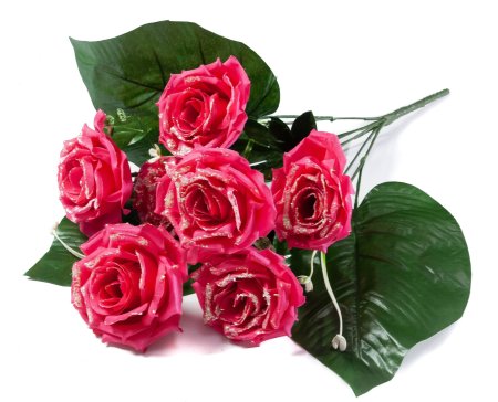 5f1d966646d6bb09ec8162dd20945058