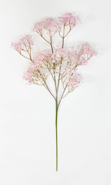 Гипсофила "Изящная" нежно-розовая