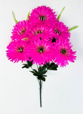 Астра "Венец" малая 7 цветков