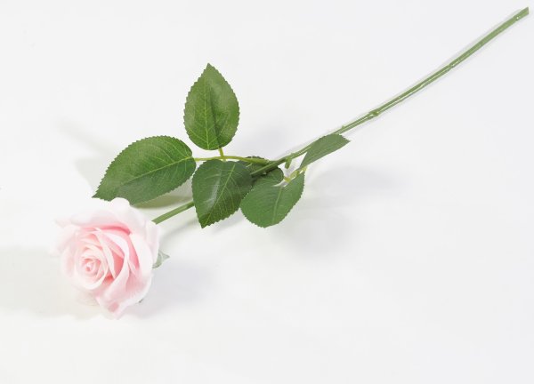 Роза с латексным покрытием открытая светло-розовая