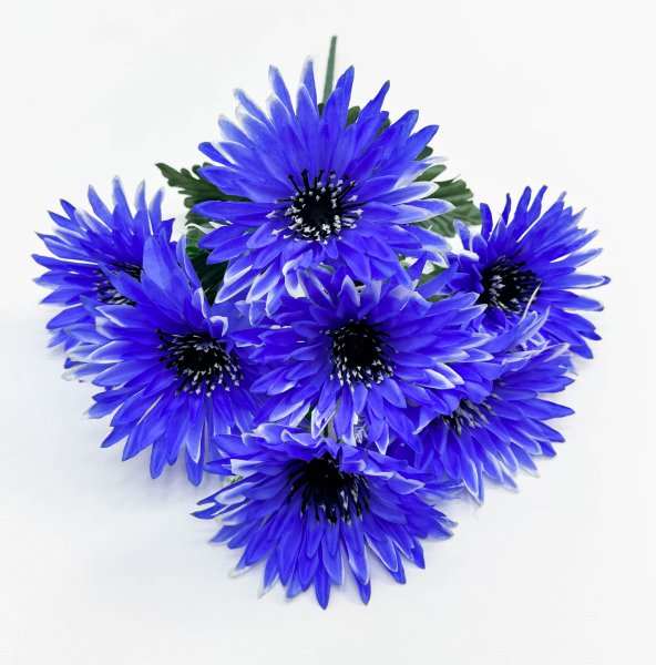 Астра черная тычинка 7 цветков